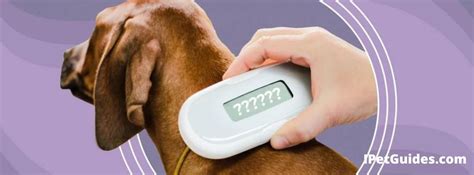 can nfc read pet microchip|how to scan a dog microchip.